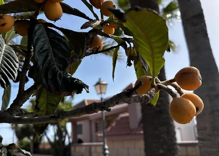 Casa La Quinta * אדחה