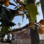 Casa La Quinta - Imegal Sl * Costa Adeje (Tenerife)