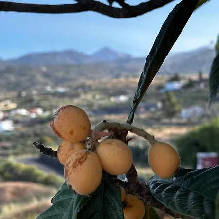 Ferienhaus Casa La Quinta *